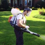 Гербициды для борьбы с сорняками на газонах: как поддерживать красивый и здоровый газон