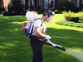 Гербициды для борьбы с сорняками на газонах: как поддерживать красивый и здоровый газон