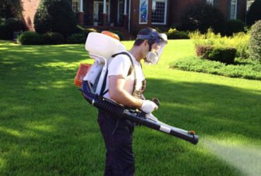 Гербициды для борьбы с сорняками на газонах: как поддерживать красивый и здоровый газон