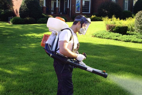 Гербициды для борьбы с сорняками на газонах: как поддерживать красивый и здоровый газон