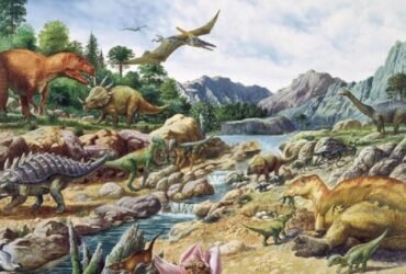 Как развивается жизнь на Земле