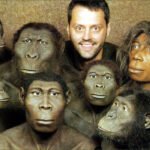 Теории происхождения человека