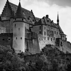 Чорно-біле фото середньовічного замку на пагорбі серед дерев